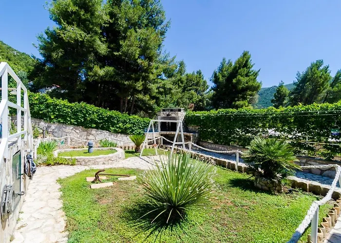 10233b Žuljana